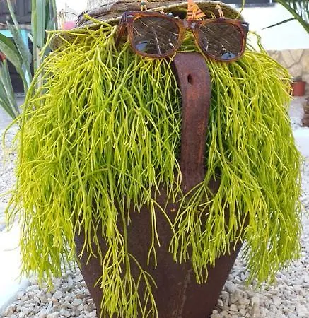 Casa Uldina Hébergement de vacances Bombarral