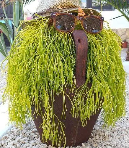 Casa Uldina Дом отдыха Бомбаррал